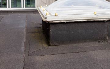 disadvantages of Chownes Mead flat roofs