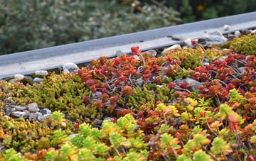 the cost of Chownes Mead green roof installation
